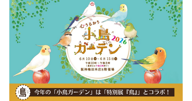 【阪神梅田本店】約100名の鳥作家が集結！「小鳥ガーデン」が今年さらにパワーアップして開催いたします