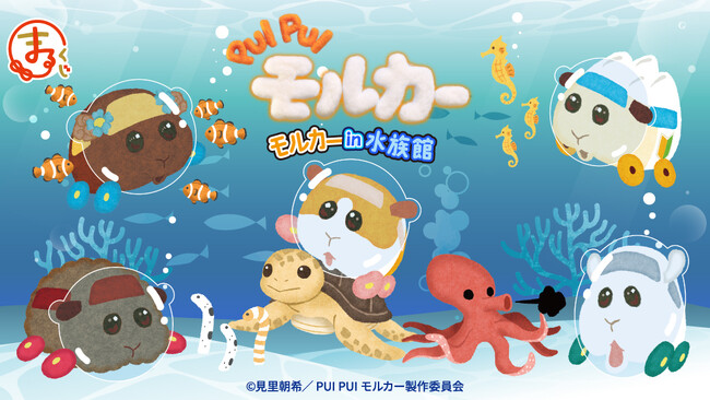 『PUI PUI モルカー』モルカーin水族館 オンラインくじ「まるくじ」にて販売開始!