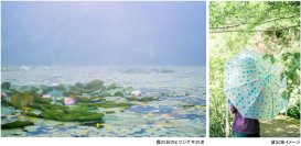 ROKKO森の音ミュージアム雨の日こそ霧が幻想的な博物館へレイニーシーズンSNSキャンペーン2026年6月1日（月）～7月17日（金）