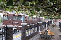 【日本でここだけ！「ぶどう」が育つ塩尻駅！】今年最初の作業。ホームのぶどう園のブドウの誘引結束と芽かき作業を行います。