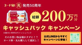 キャンペーンバナー画像 キャンペーンバナー画像