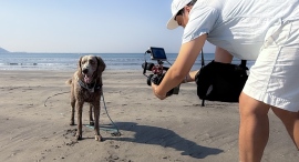 海外のドッグフレンドリー文化から生まれた新ブランド――愛犬との時間を映像作品に残す「with WAN」、6月1日より予約受付開始 海外のドッグフレンドリー文化から生まれた新ブランド――愛犬との時間を映像作品に残す「with WAN」、6月1日より予約受付開始
