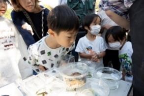 「イオン ふるさとの森 いきもの調査2026」を開始