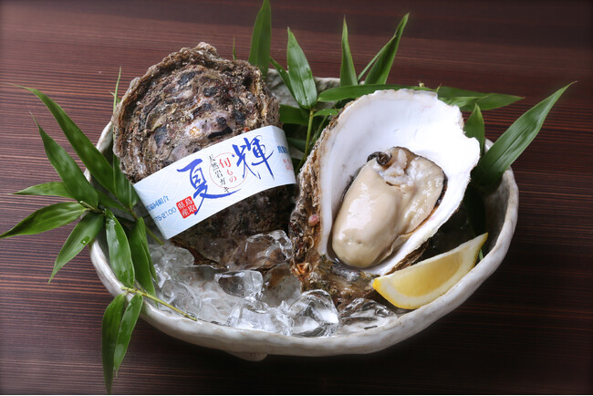 鳥取県産天然イワガキ「夏輝」・6月1日より今季初出荷 「ナイフが入れば、勝ち!」
