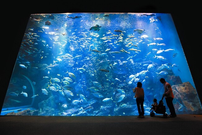 【JAF東北】JAFフェスティバル東北 in 男鹿水族館GAO「裏側見学ツアー」に参加しませんか？