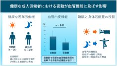 【杏林大学】健康な成人労働者における夜勤労働が血管機能に及ぼす影響を確認― 産業理学療法/産業医学の新たなエビデンスの創出―