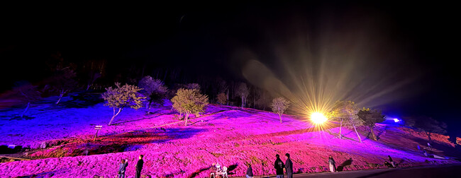 【地域活性化イベントレポート】北海道滝上町・芝ざくら植栽70年記念「TAKINOUE PINK AURORA」初開催