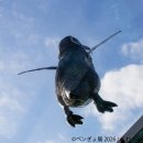 展示作品:くわぺん 展示作品:くわぺん