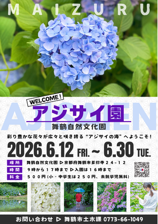 舞鶴自然文化園でアジサイ園。10万本の花々が広がる風景