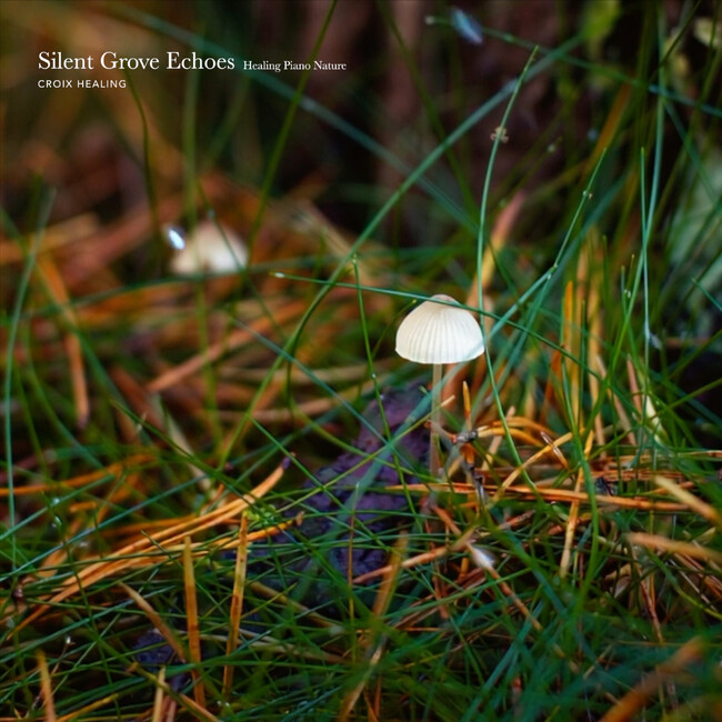 調和の周波数とされる639Hzソルフェジオと自然音が響く。ヒーリングピアノ作品『Silent Grove Echoes: Healing Piano Nature』6月5日配信開始