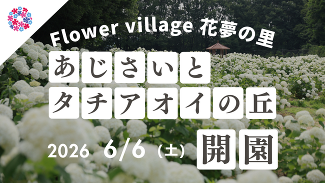 【広島／世羅】2026年6月6日OPEN！「あじさいとタチアオイの丘」《Flower village 花夢の里》