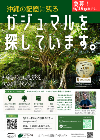 ガジュマル記録プロジェクト!あなたのおススメのガジュマルを教えてください!