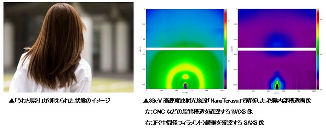 朝整えた髪が、日中またうねる。日光による毛髪内部CMCダメージに着目　ヒアルロン酸カリウムに「うねり戻り」抑制効果を確認