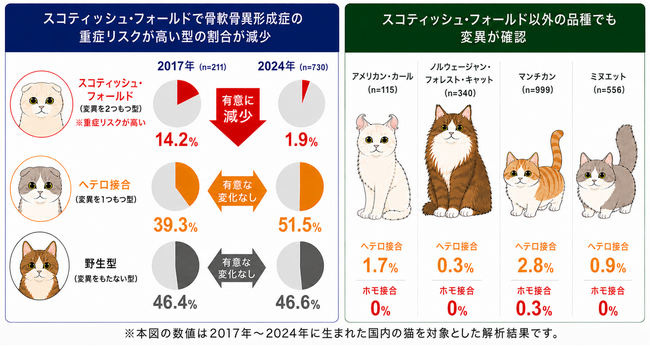 猫の骨軟骨異形成に関連する遺伝子変異、重症リスクが高い型の割合が減少