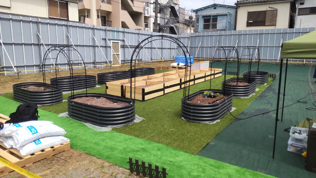 都会の菜園 