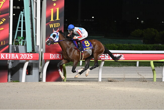 6月10日（水）3歳ダート三冠競走頂点レース「東京ダービー（JpnI）」出走馬フルゲート16頭と枠順が決定！！～若き砂の王者を決める伝統の一戦に注目！～