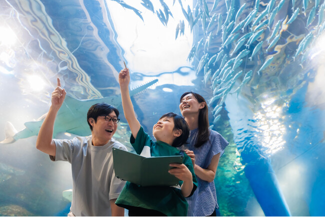 【品川プリンスホテル】~ホテルステイ×自由研究~水族館の飼育スタッフから学ぶSDGsとスペシャルゼリー(餌)作り