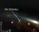 図2 鹿児島大学望遠鏡(入来観測所)に搭載した赤外カメラkSIRIUSで撮影された超新星の赤外写真。矢印の先にあるのが超新星 SN2023dbc。右に見える明るいコアから左斜め上に伸びているのは、銀河 M108(メシエ108)。 図2 鹿児島大学望遠鏡(入来観測所)に搭載した赤外カメラkSIRIUSで撮影された超新星の赤外写真。矢印の先にあるのが超新星 SN2023dbc。右に見える明るいコアから左斜め上に伸びているのは、銀河 M108(メシエ108)。