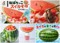 【6月13日開幕】鳥取県の夏の味覚「大栄スイカ」を全国へ！道の駅ほうじょう「ほうじょう スイカフェスティバル」を6/13より開催　青空吹奏楽祭やマグロ解体ショー、大栄スイカ送料キャンペーンも実施