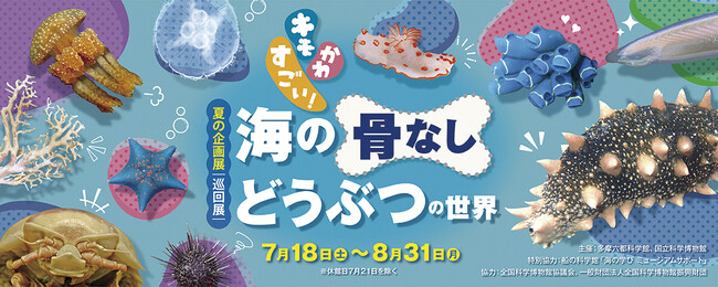 【多摩六都科学館】この夏、 “キモかわすごい” 海の生き物たちが集結