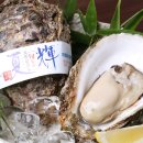 夏のプレミアム牡蠣「夏輝」 夏のプレミアム牡蠣「夏輝」