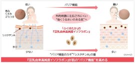 研究成果の概要 研究成果の概要