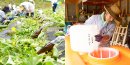 自社有機農場で栽培した有機ヘチマ水やハーブを配合 自社有機農場で栽培した有機ヘチマ水やハーブを配合