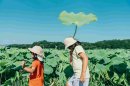 前回開催イメージ(2) 前回開催イメージ(2)