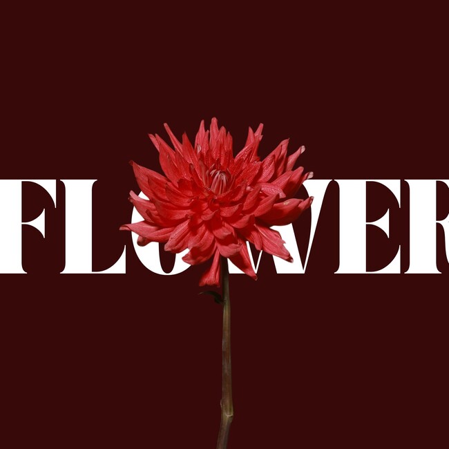 情熱と繊細さが共存する一輪の花。新世代アーティスト [KANAKA] が放つ最新シングル『Flower』がリリース。