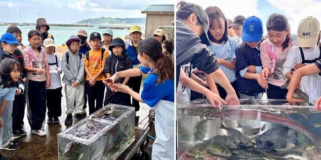 【神奈川県初】海洋学習プロジェクト「うみのこ教室」川崎市立小学校を対象にプログラムを実施　漁港で水産流通や海の仕事を学ぶ