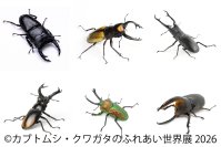 世界のレア昆虫が集結！夏休み限定イベント「カブトムシ・クワガタのふれあい世界展」8/1(土)～東京で開催　AR昆虫採集ゲーム「バグハン！」コラボブースも登場