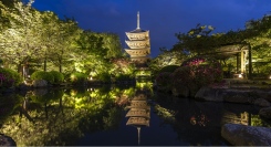 一夜限りの貸し切り企画　東寺 秋の夜間特別拝観