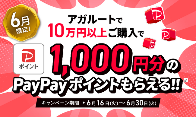 【キャンペーン情報】6月限定！1000円分のPayPayポイントプレゼント！