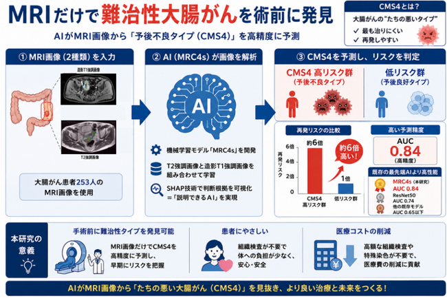 MRI画像だけで大腸がんの「予後不良タイプ」を見抜く！―体や医療コストの負担が少ない術前診断 AIを開発―