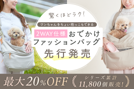 メイン画像 メイン画像