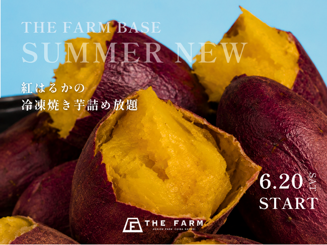 冷凍焼き芋の詰め放題で楽しむ、夏のひんやり甘いご褒美。THE FARM BASEで6月20日（土）より開催（千葉・香取）