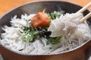 和歌浦名物「生しらす丼」 和歌浦名物「生しらす丼」