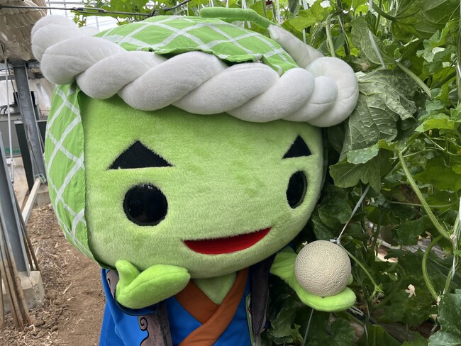 愛知県内のメロン生産量第1位の田原市で巡る、メロンづくしのスタンプラリーを実施！「メロめろスタンプラリー2026」