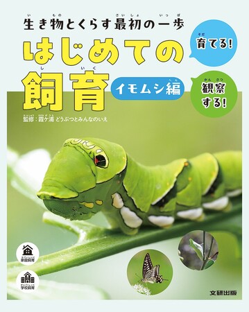 家庭や学校で飼育される代表的な生き物の特ちょう、迎え方、健康管理の方法などを解説！　文研出版より『生き物とくらす最初の一歩はじめての飼育　第１期　イモムシ編』を発売！