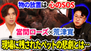 YouTubeサムネイル1 YouTubeサムネイル1