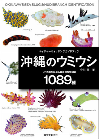【DNA解析による最前線の分類】沖縄で見られる1089種のウミウシを網羅した図鑑。