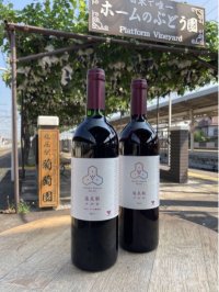 【日本でここだけ！】「駅ホームのぶどう園」の笠かけを7月3日（金）に行います。
