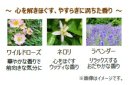 フローラルブーケの香り