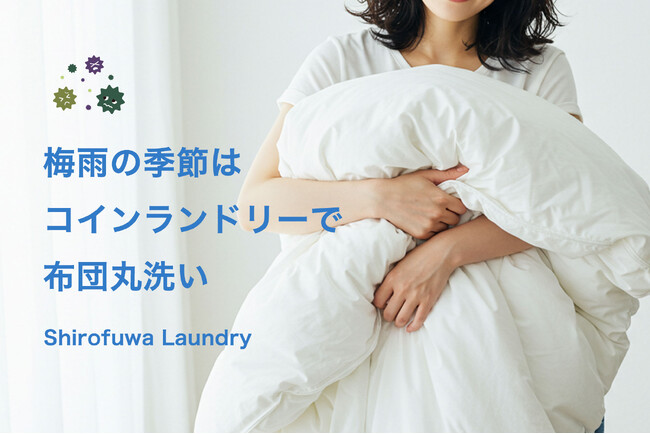 梅雨時期の「布団洗濯」需要が急増　しろふわランドリーで布団洗濯利用が前年比150％に増加　ダニ対策や快眠ニーズを背景に利用拡大