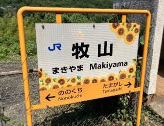 今年も黄色いじゅうたんが畑一面を覆います!牧山駅から徒歩約5分!牟佐大久保ひまわり畑でイベント開催!