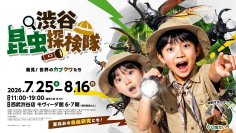 渋谷で日中から「夜の昆虫観察」ができる体験型昆虫展を開催700体以上の昆虫が大集合！夏休みの自由研究もサポート