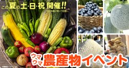 【道の駅木更津 うまくたの里】土日祝恒例の詰め放題に「メロン」「ブルーベリー」が登場！野菜だけでない、旬の果物も楽しめる「ウマウマ農産物イベント」7月～10月も開催継続！