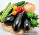 ●野菜2〜5種詰め放題(7/5(日)～計7回)