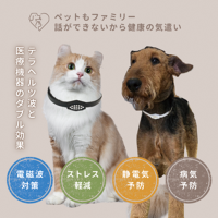 “日本の宝を発掘する”視点から、株式会社ボルテックスのものづくりに注目！販売中のペットケアアクセサリー「ZAAP Pemilyネックレス」が高い評価を獲得
