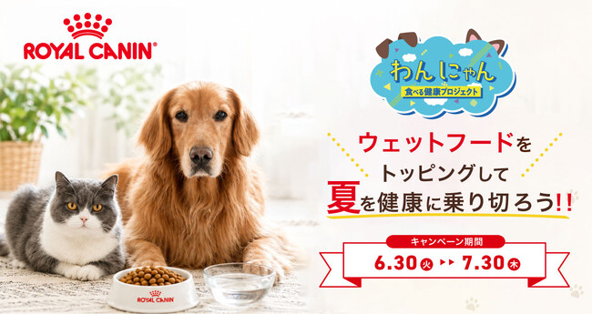 「ロイヤルカナン×ペテモ　わんにゃん食べる健康プロジェクト」ドライフードにウェットフードを組み合わせる“トッピング習慣”を提案